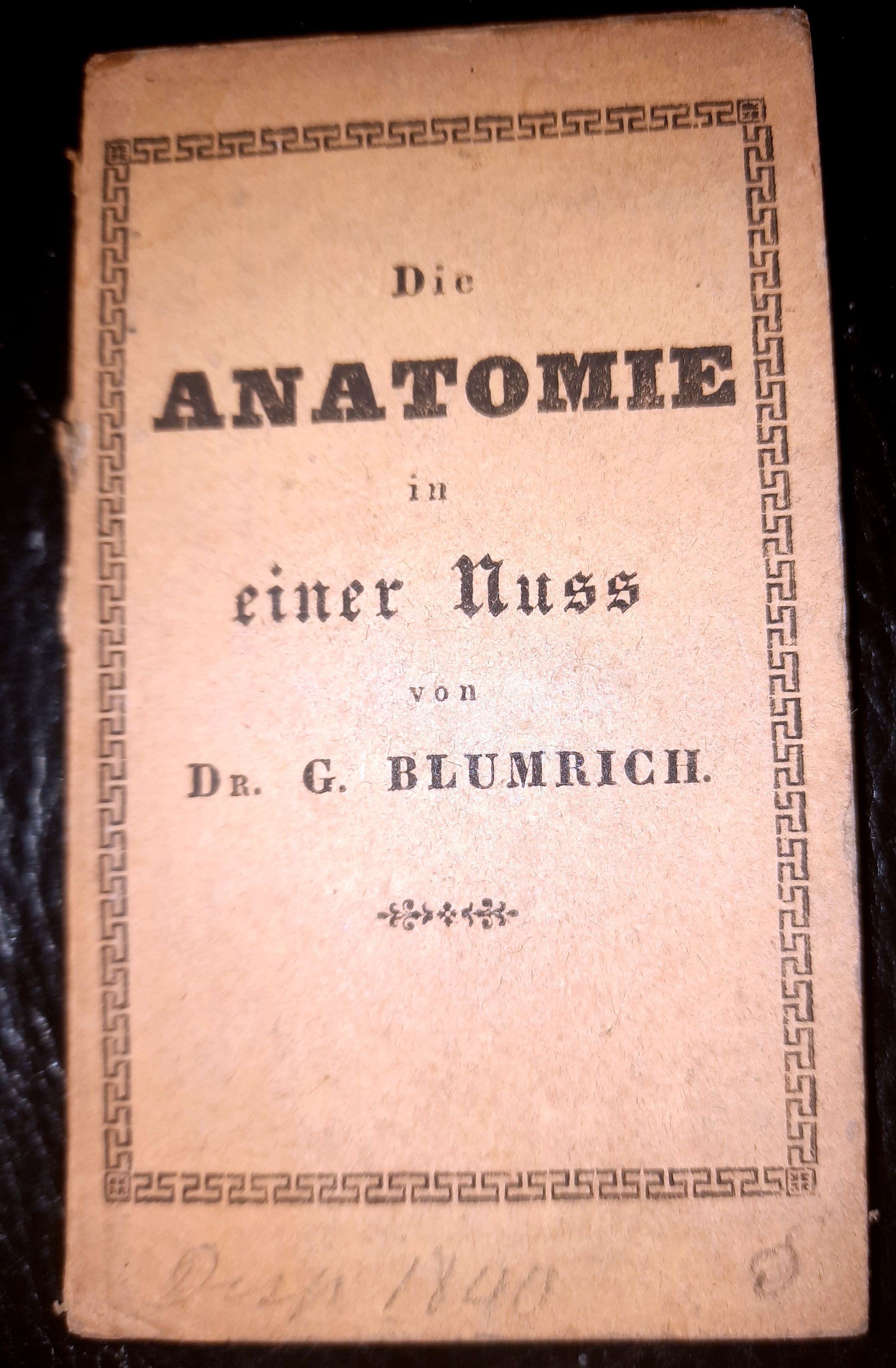 BLUMRICH, C.: - Die Anatomie in einer Nuss. Zweite verbesserte Auflage..